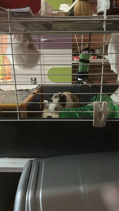 Продавам клетка за гризачи