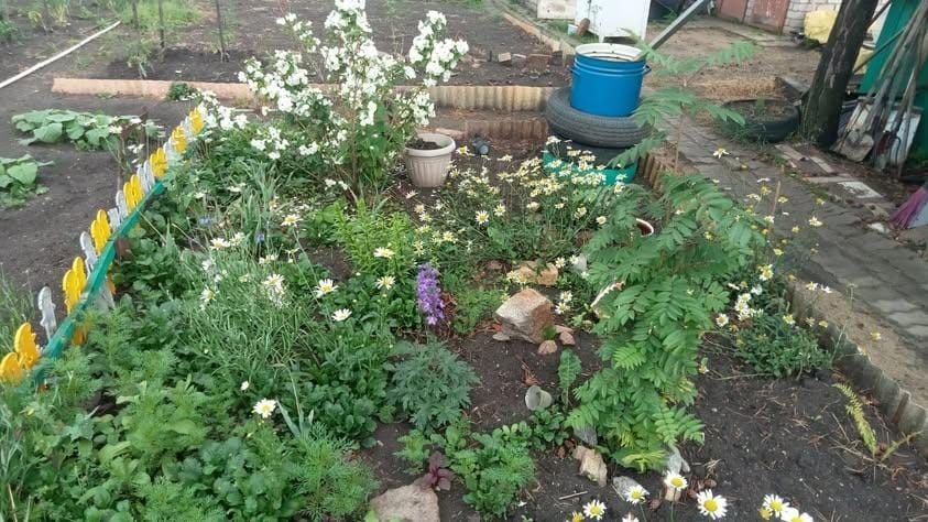 Продам дачу с/о Огонёк