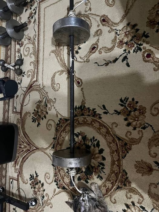 Спорт товары , гантели , штанги