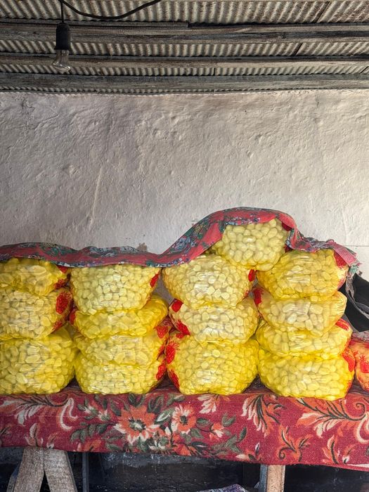 Құрт, таза құрт, курт, ауылдың құрты