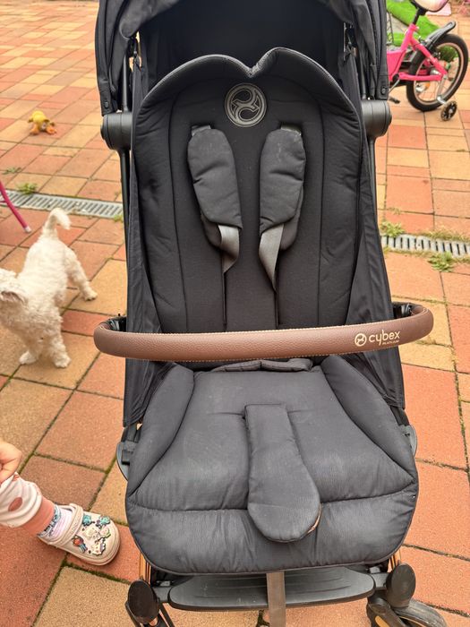 Carut Cybex Coya