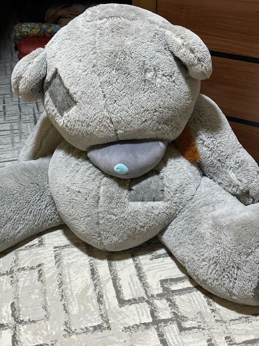 O’yinchoq teddy