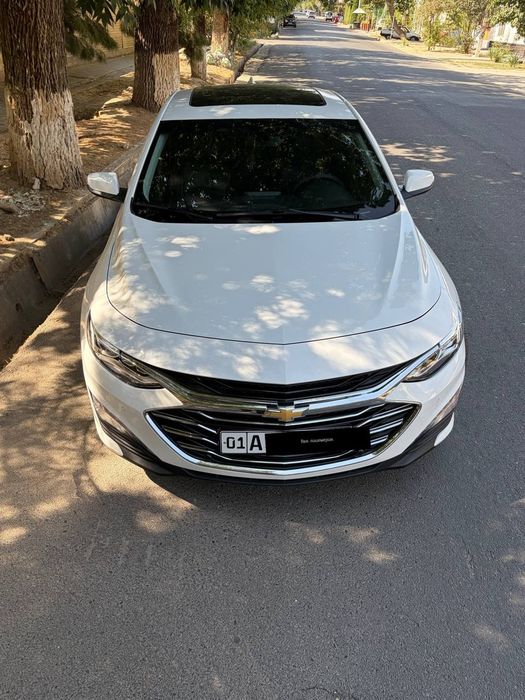 Malibu premiere 2022