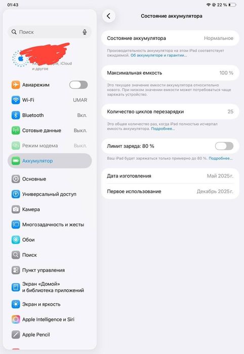 Ipad pro 11 inch m4 256 wifi+sim