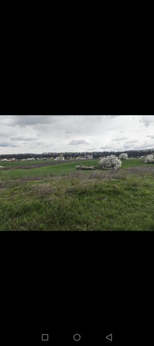 teren intravilan Vladiceasca Snagov 500m2 +1/4 din cota drum,langa lac
