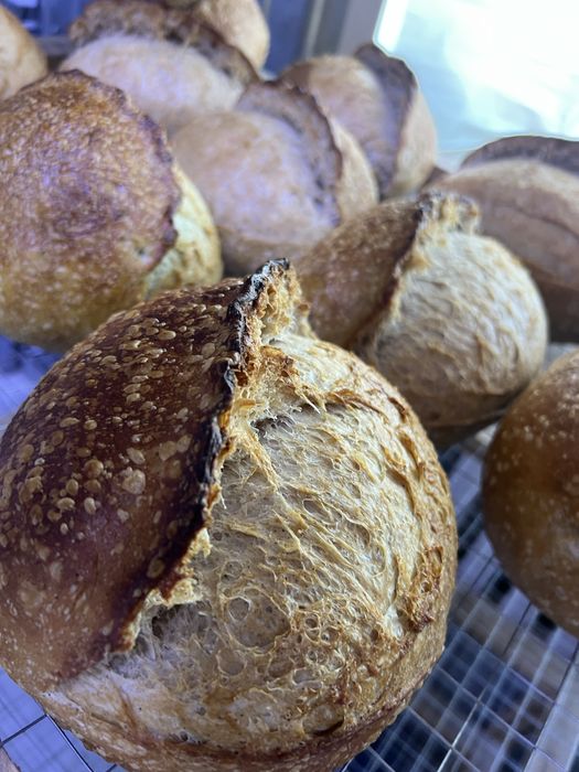 Закваска натуральная