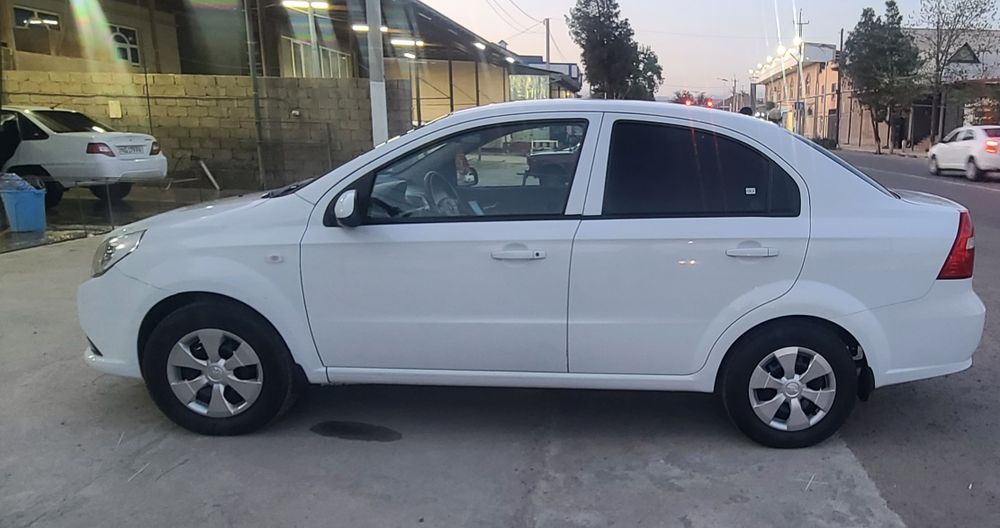 Other Nexia 2019 — 2