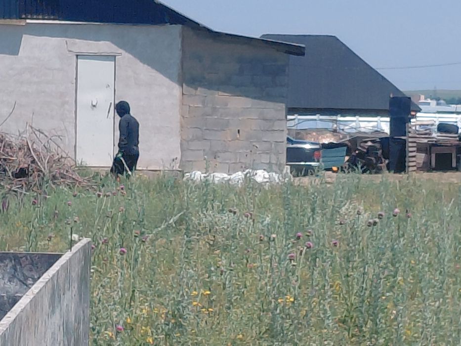 Село шамалганда жер бар фундаментпен