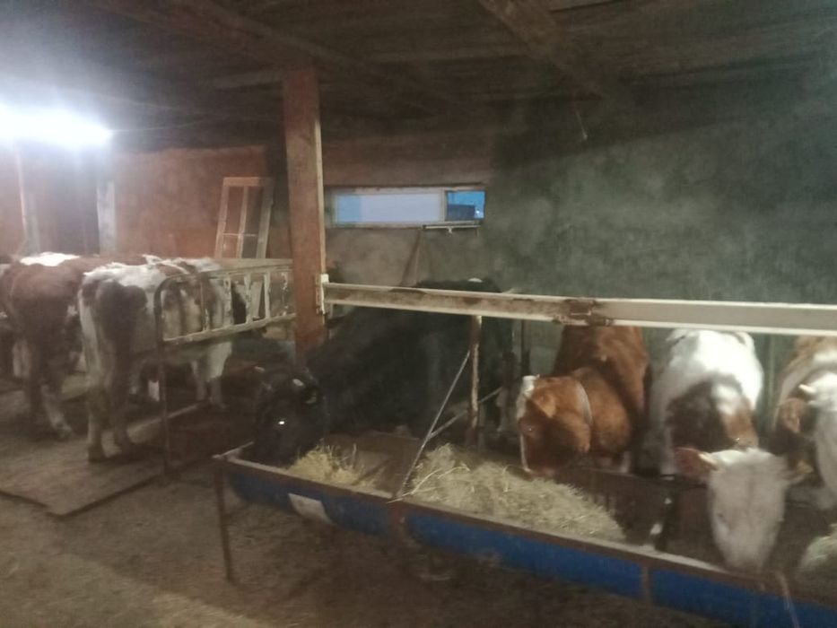 Сельское хозяйство