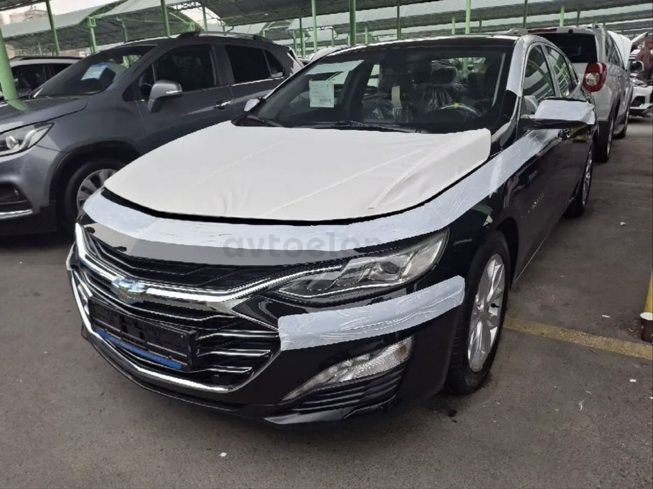 Малибу 2 примьер, краска тозза