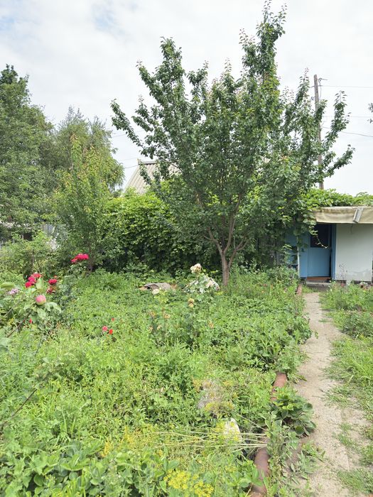 Продается дача на саздинском водохранилище