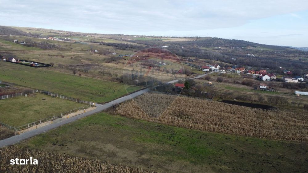 Teren 19.375 mp Dâmbu Rotund. Potențial rezidențial. Extravilan