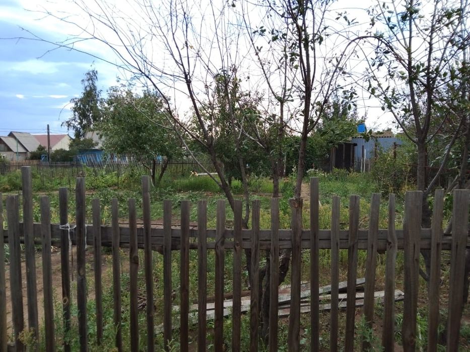 Продам дачу сад весна