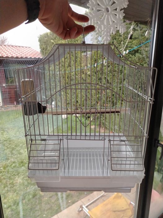 Colivie papagali / perusi