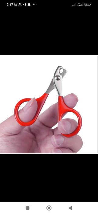 Itlar va mushuklar uchun