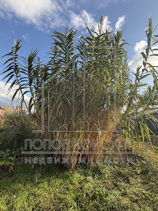 Продава се Парцел в с. Поповица, Област Пловдив - 550 кв.м за 40 €/кв.м - Снимка #2