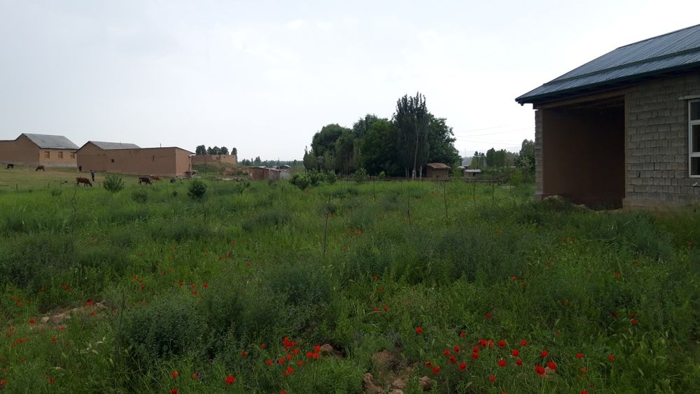 Uy sotiladi Gallaorol Norkada 30 so'tik.