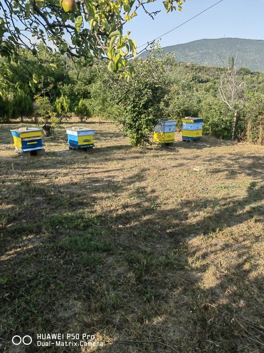 Продавам кошери