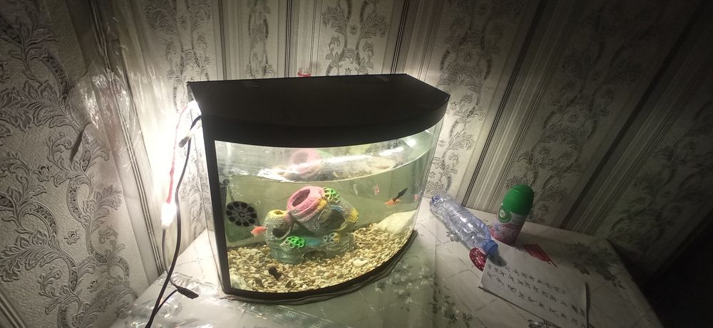 Akvarium 25 litrli аквариум 25 литров