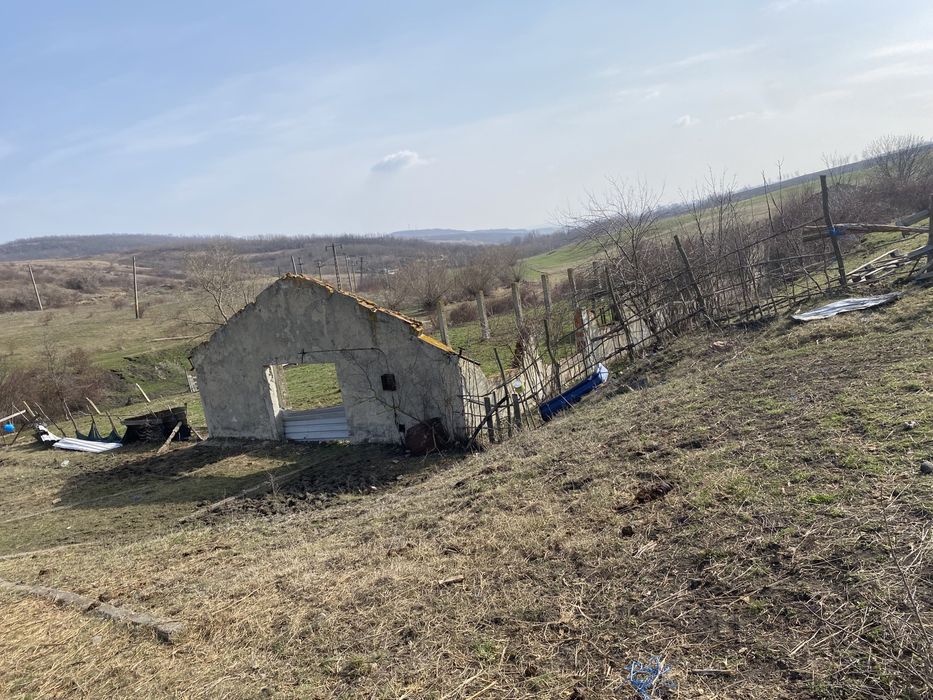 Fermă animale fost C.A.P.