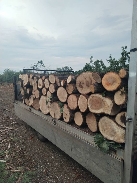Vand lemne de foc