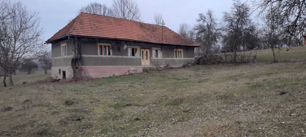 Casa batraneasca cu 1 hectar teren, zona de deal super linistita