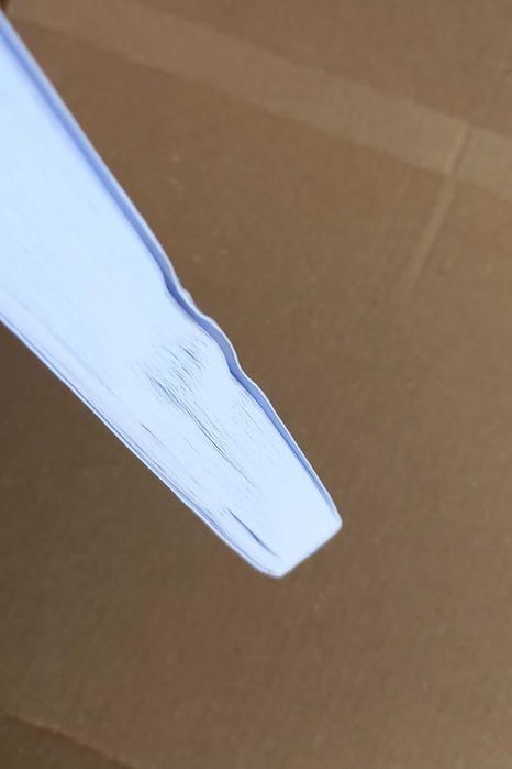 The Panic Of 1819 : Reactions and Policies