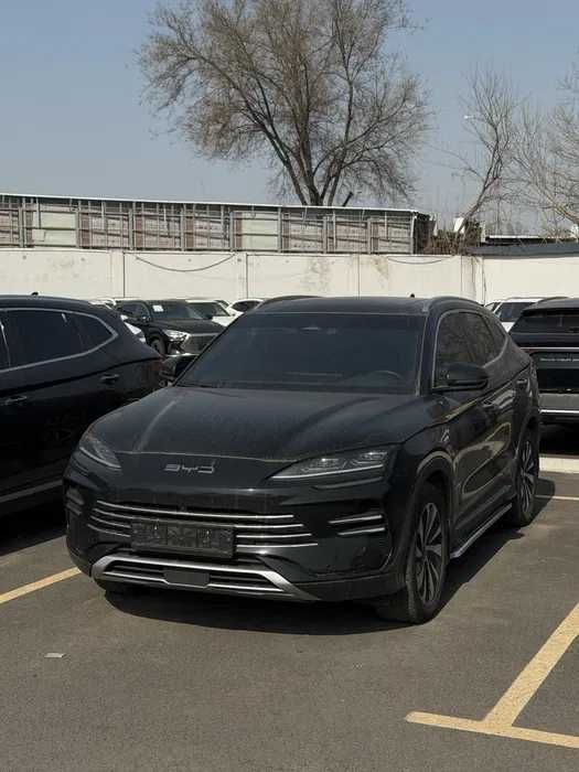 byd chempion pad zakaz