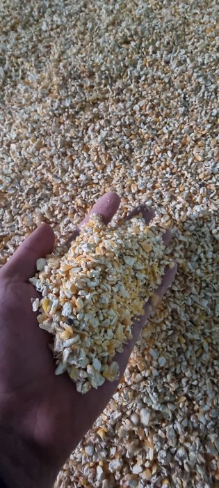Кукурузная сечка