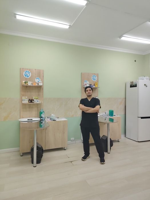 Mushuklaringiz sog'lig'ini oylovchi veterinar doctor