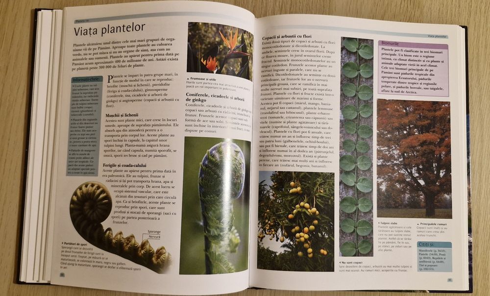 Enciclopedia lumii pentru copii - Editura Corint