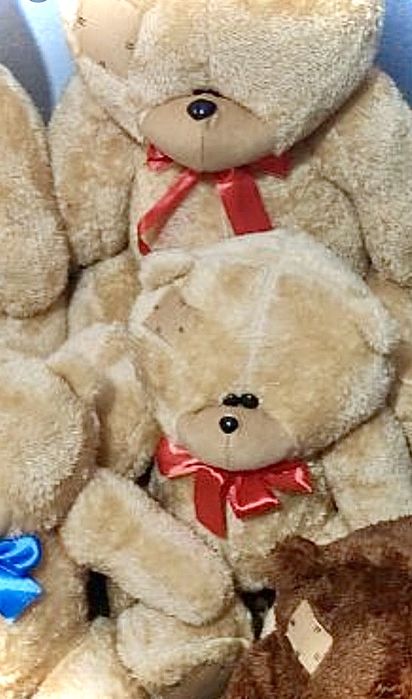 Teddy va boshqa onchoqlar