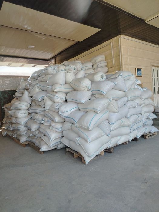 Sholi sotiladi. 20tonna lazer