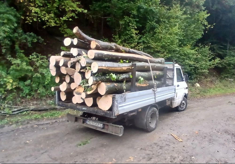 Lemn foc cele mai bune preturi!