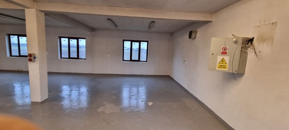 Vând casă și atelier