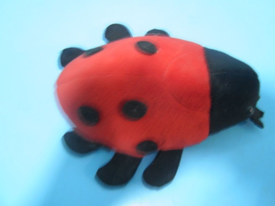 Калинка показваща пътя към щастието