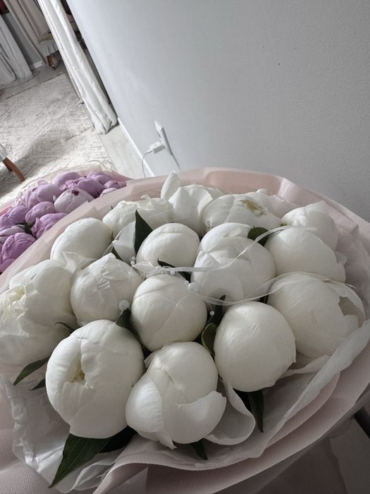 пионы голландия