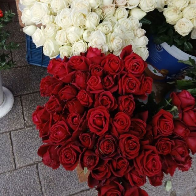 Flowershop Gul magazin