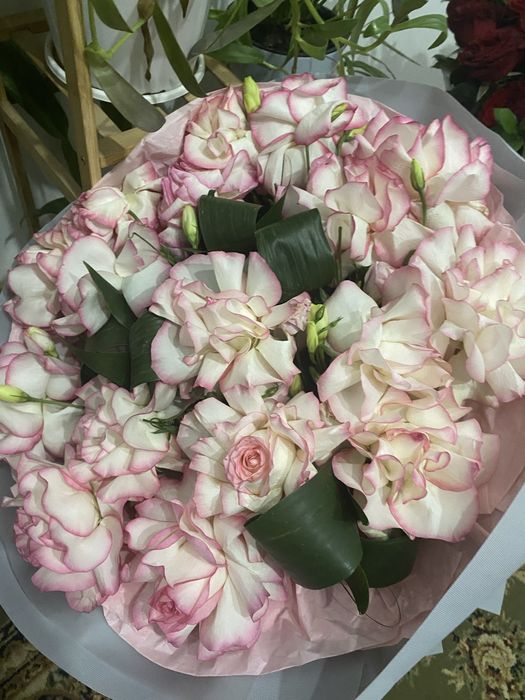 Роза гул состояние хорошая