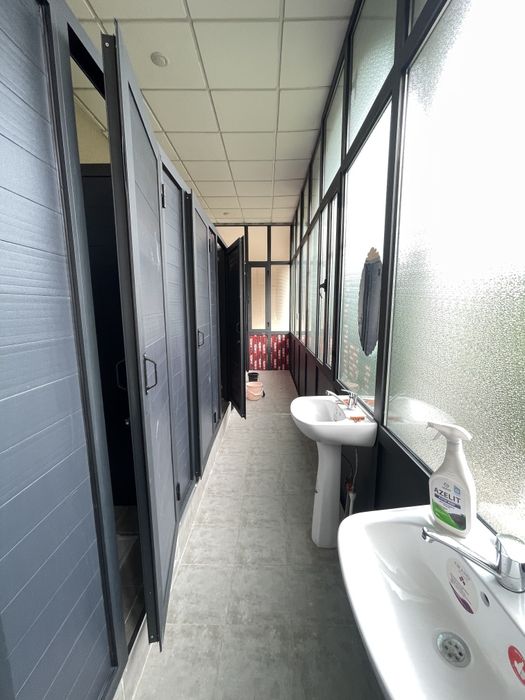 Orqadan yalangoch dumba