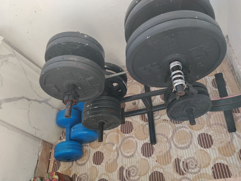 Vând suport și discuri