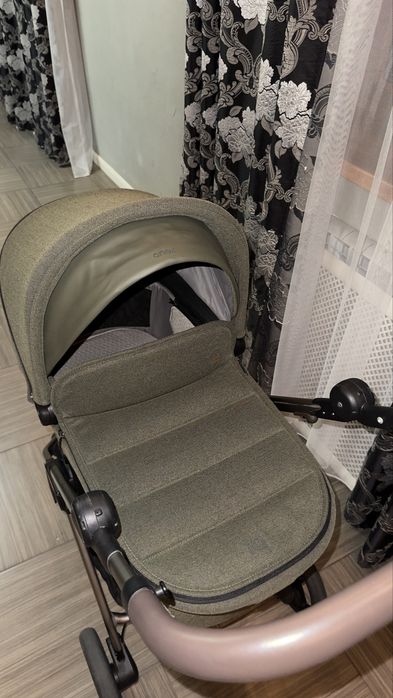 Anex iq premium richi