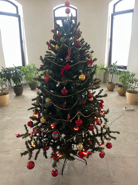 Продается новогодняя елка