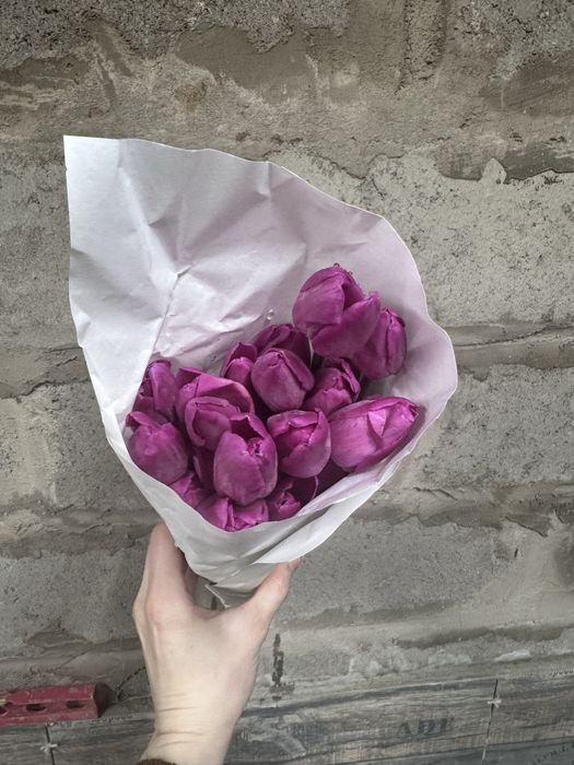 Тюльпаны рознаца недорого