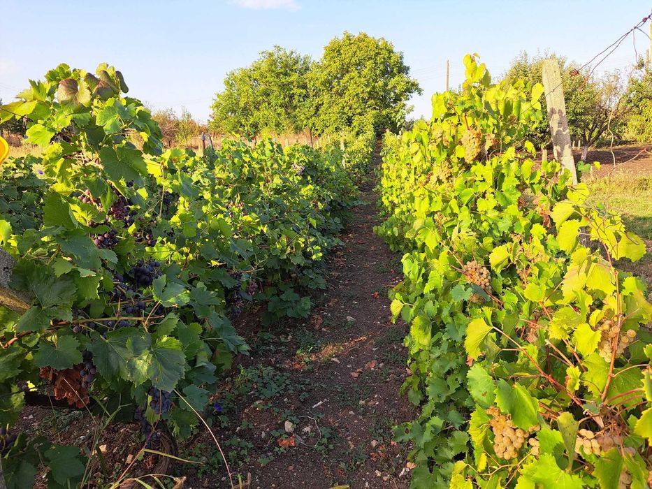 Собственик продава двуетажна масивна къща