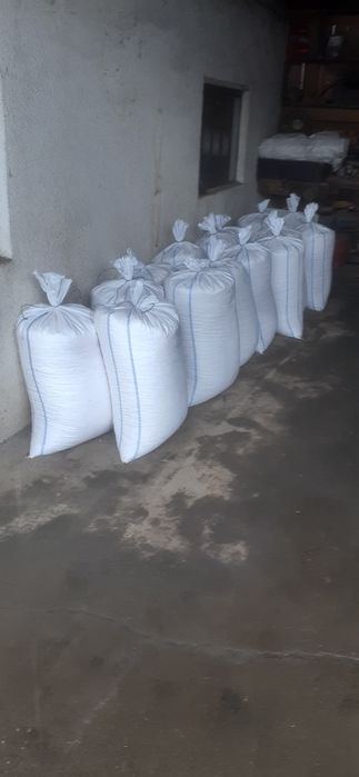 Oferta  Porumb boabe 2025