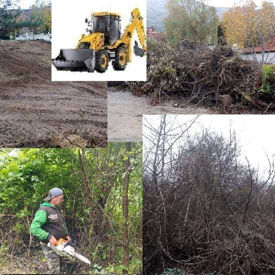 Почистване на терени от дървета и храсти