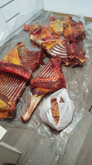 Вынужденый забой