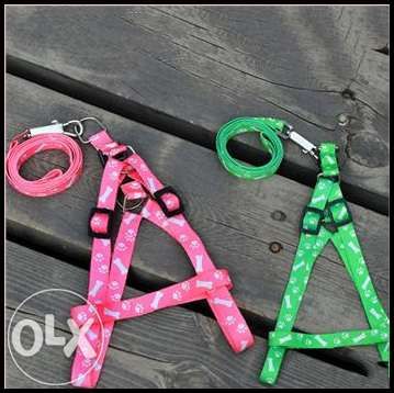 Нагръдник и повод за куче 2 в 1 ( В 5 цвята )