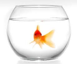 Круглый аквариум 9 л